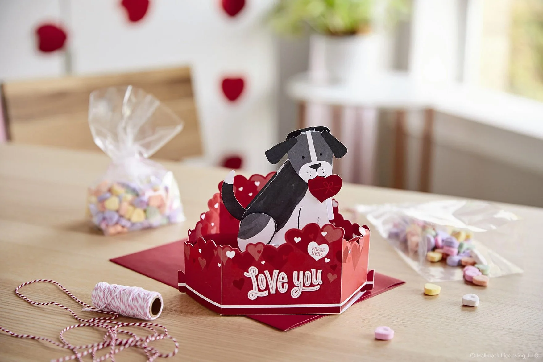 Styled by Sarah White   |   Art Direction Erin Curtis