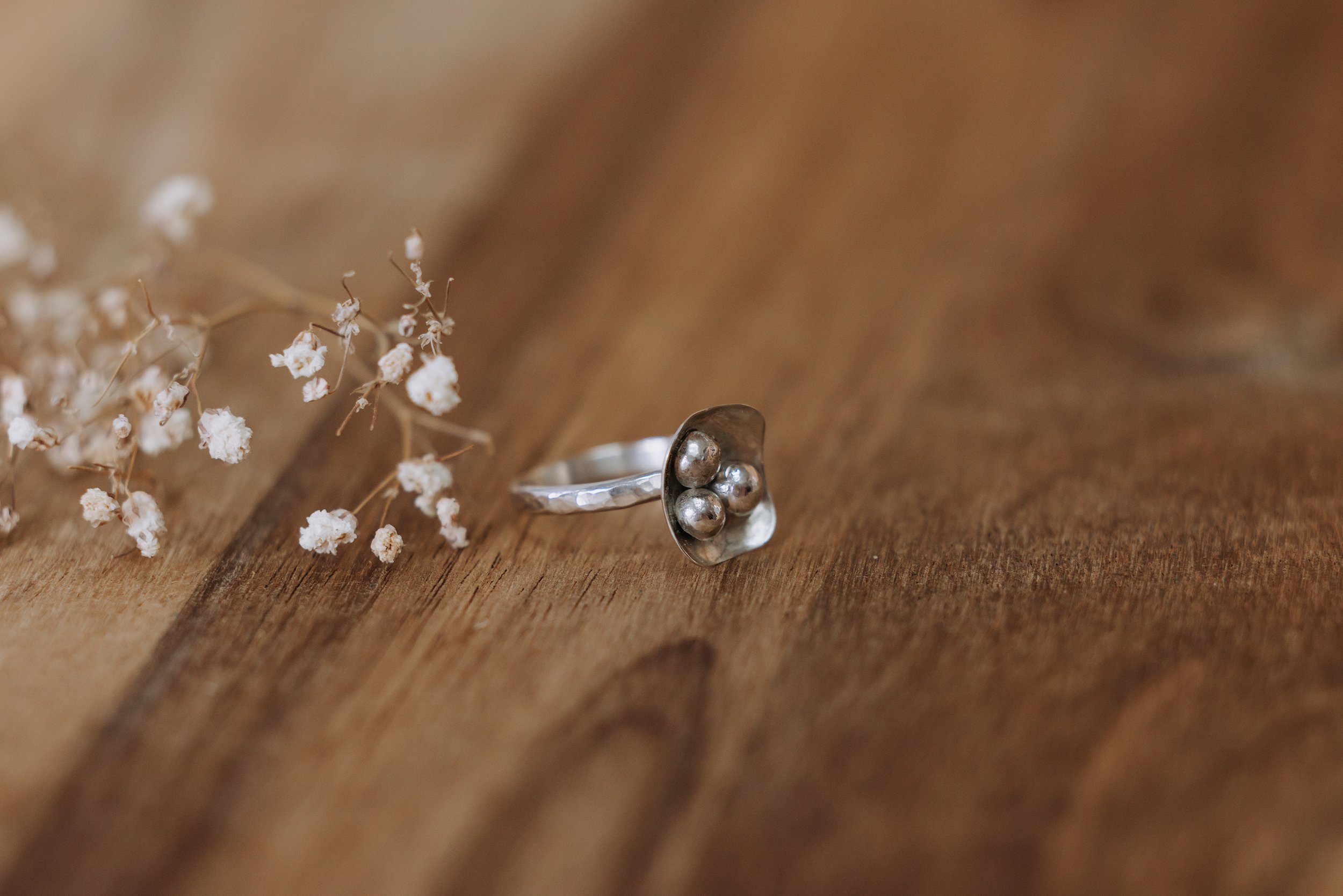 dragonfly-opal-mullaley-taylah-maree-photography-120.jpg