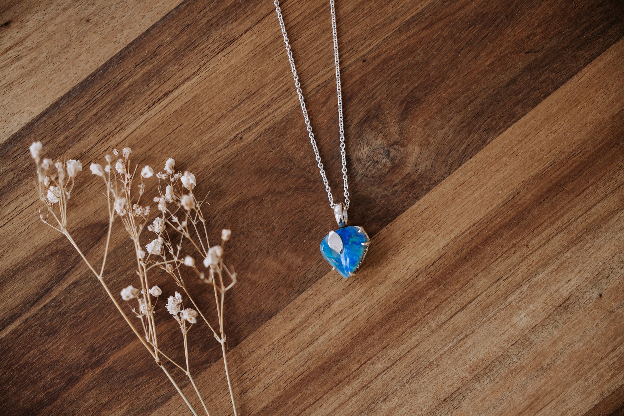 dragonfly-opal-mullaley-taylah-maree-photography-68.jpg