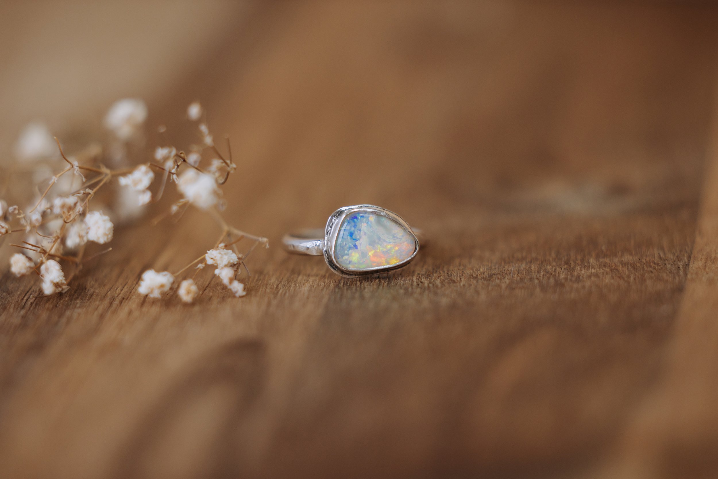dragonfly-opal-mullaley-taylah-maree-photography-94.jpg