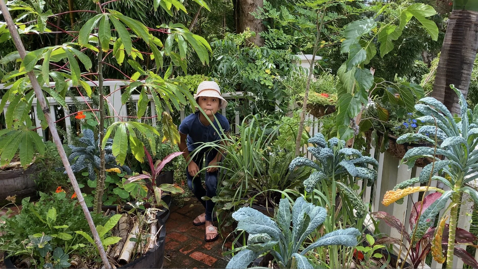 Pearl in lanai agroforest.jpeg