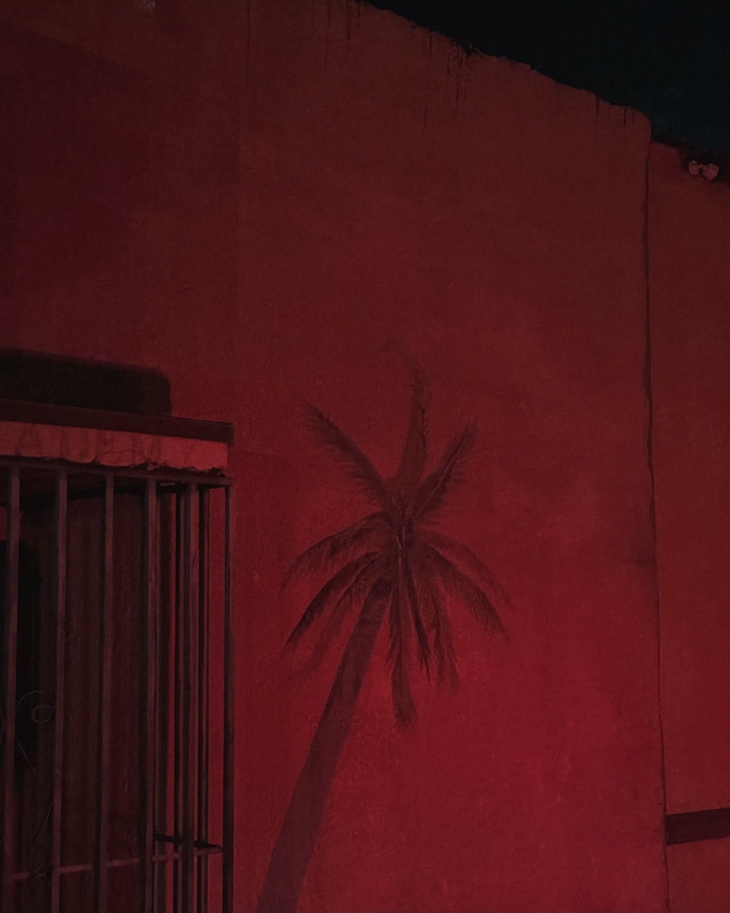 oasis details : my grandparents&rsquo; bar + dancehall in a small border town of far west texas : continual motherland visits captured between august + february