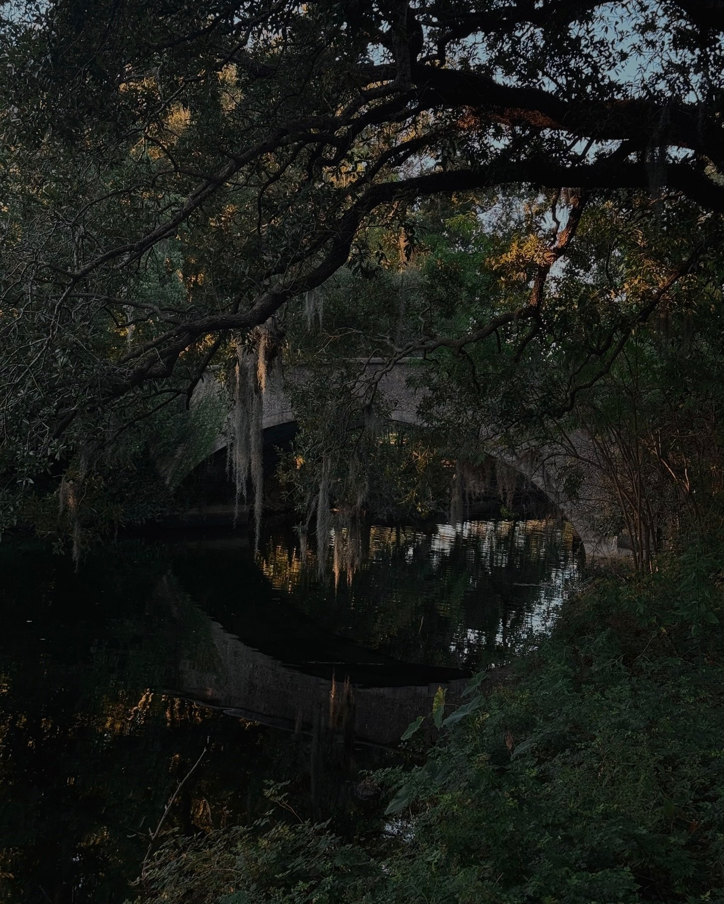 some favorite stills of this beautiful south louisiana autumn between grand coteau - new orleans - abbeville : mostly october