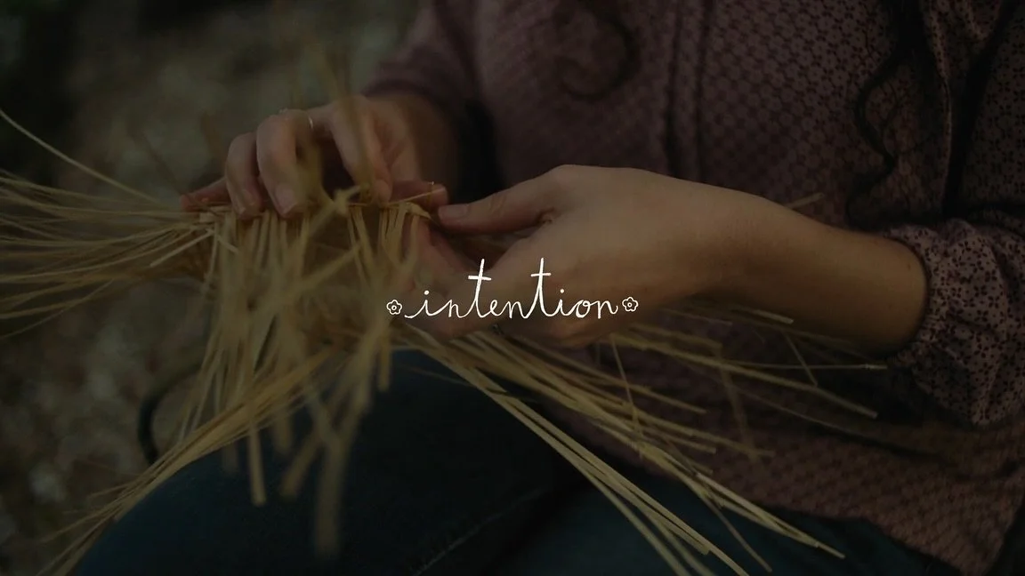 stills from @intention.film :: five year anniversary special

screening tomorrow at @vermilionville at 6:30pm followed by q&amp;a with the directors + ensemble of women from the film

doors at 6pm : free to attend : also available on @honest__art you