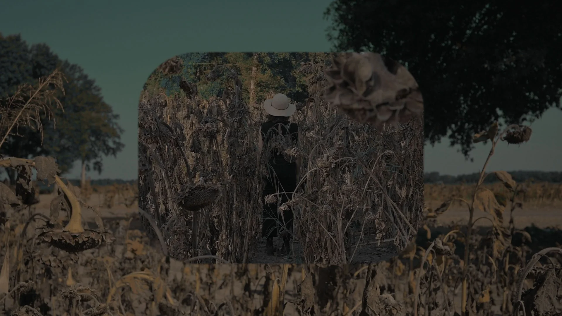 disappearing act_julie odell _still 062 - honest art - web.jpg