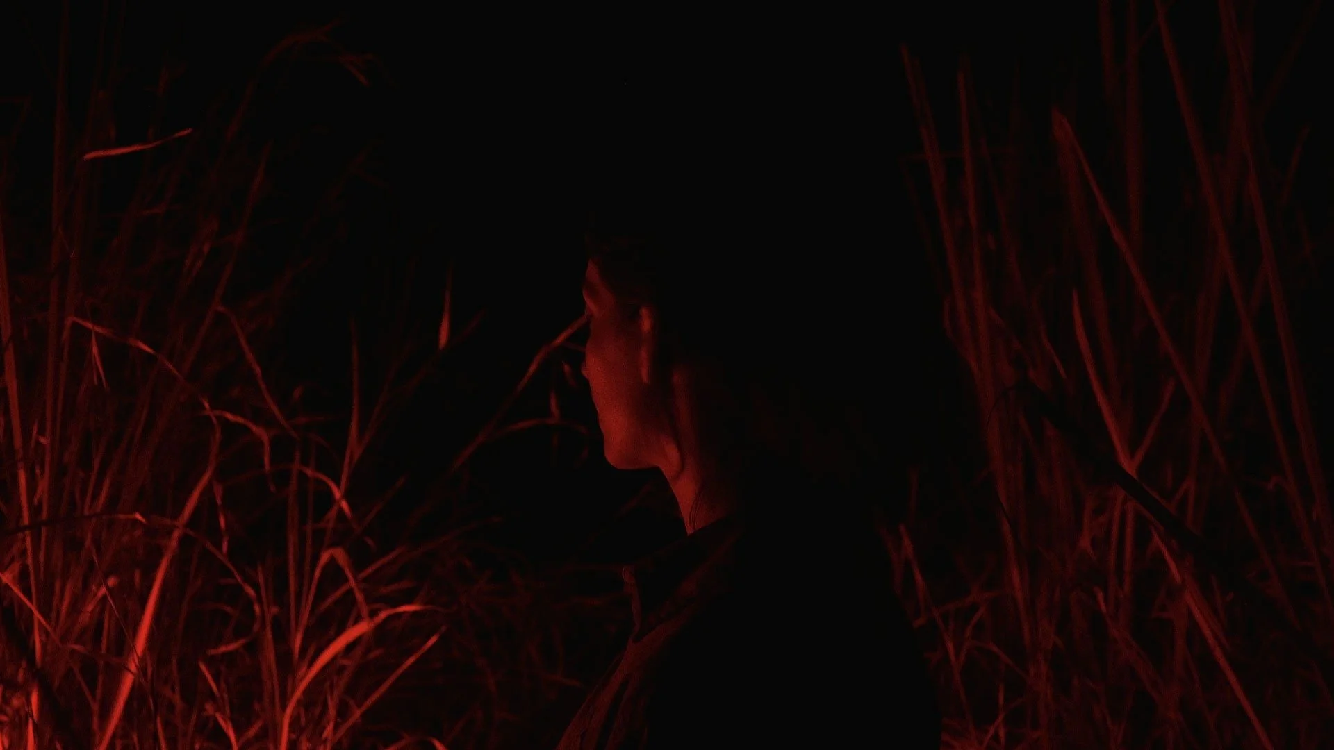 disappearing act_julie odell _still 130 - honest art - web.jpg