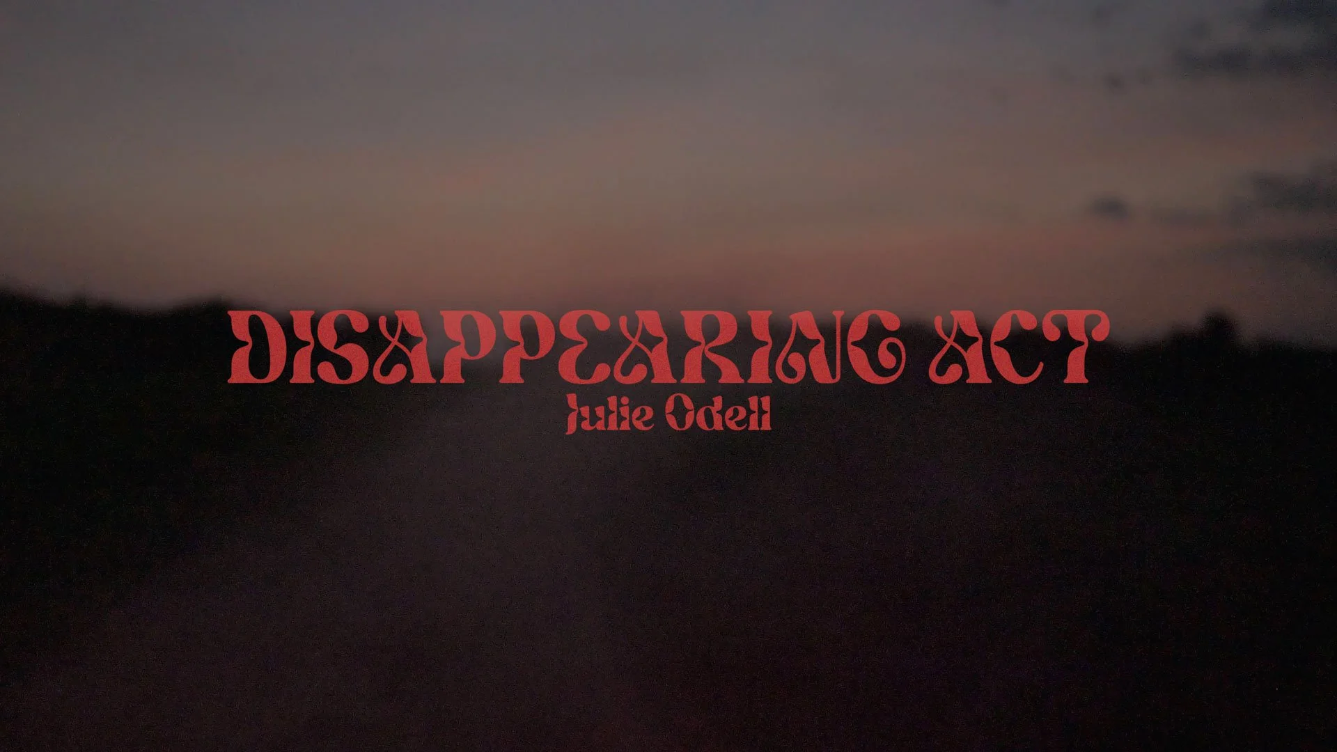 disappearing act_julie odell _still 144 - honest art - web.jpg