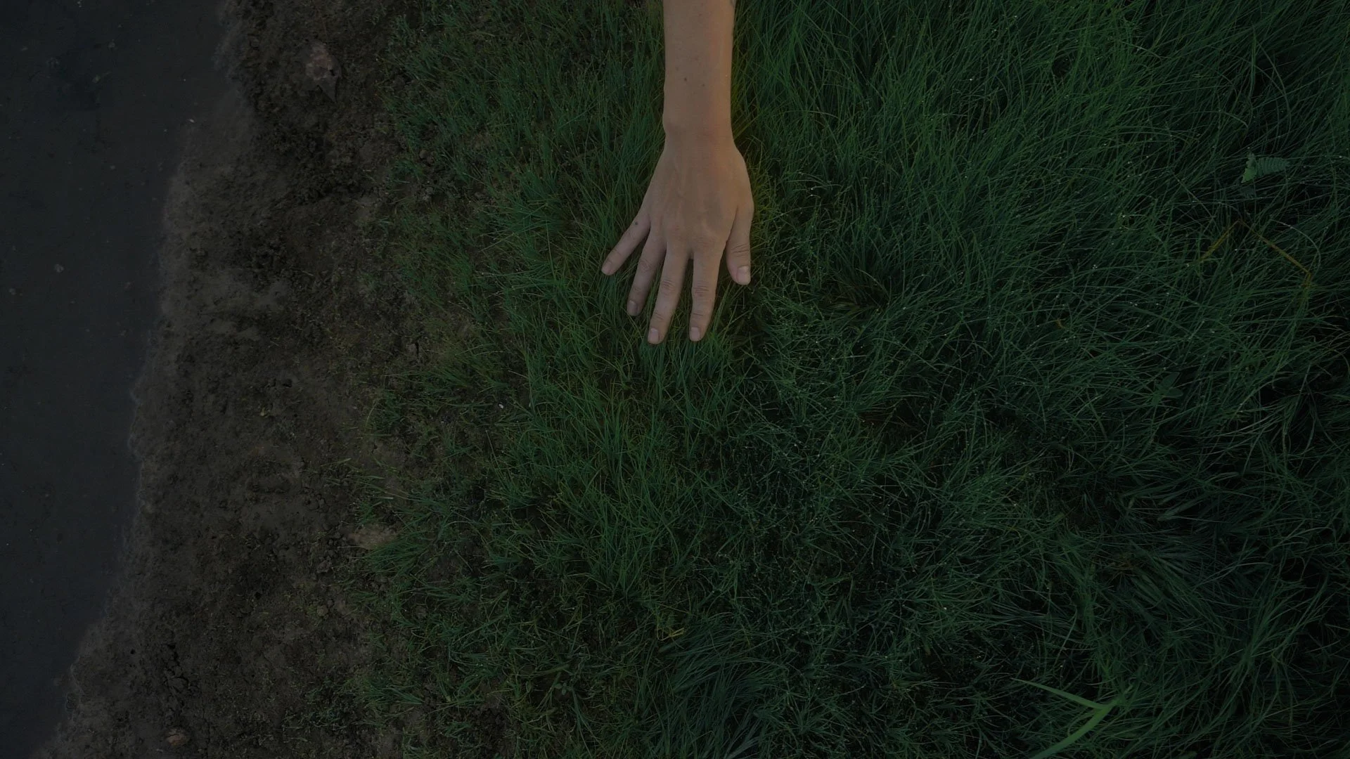 disappearing act_julie odell _still 033 - honest art - web.jpg