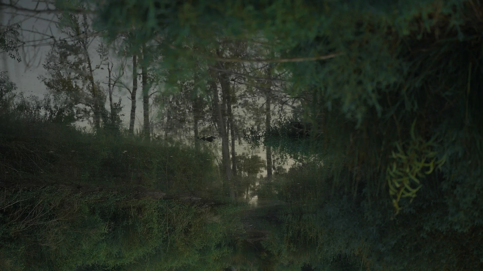 disappearing act_julie odell _still 003 - honest art - web.jpg