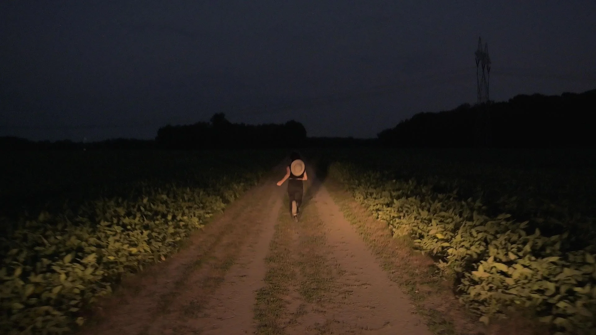 disappearing act_julie odell _still 115 - honest art - web.jpg
