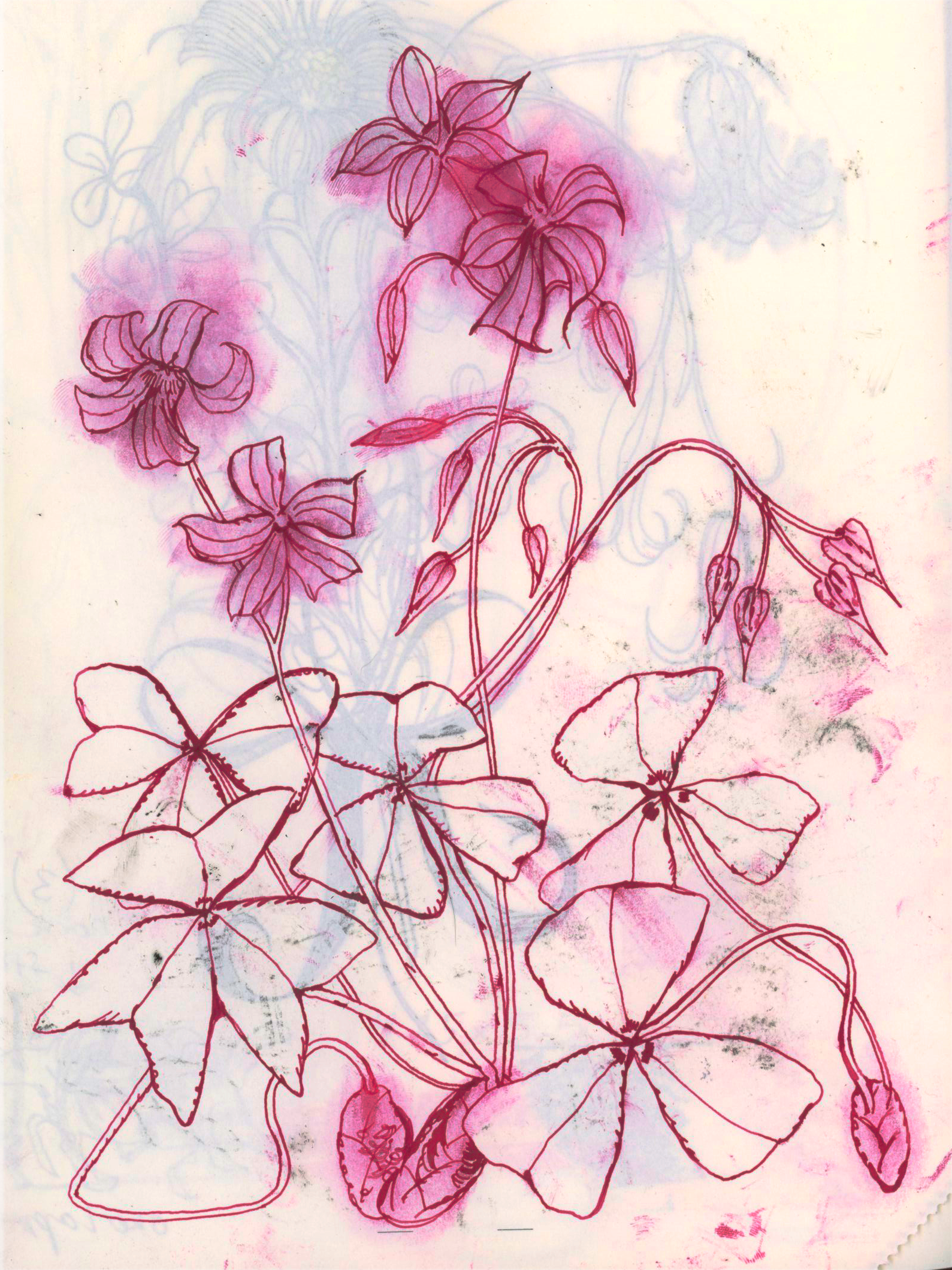 sketchbook