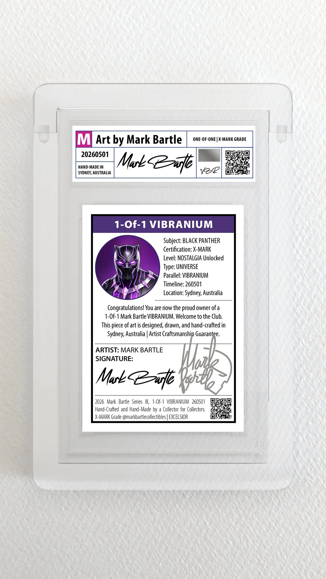 Black Panther Back Phantom Display Premium.jpg