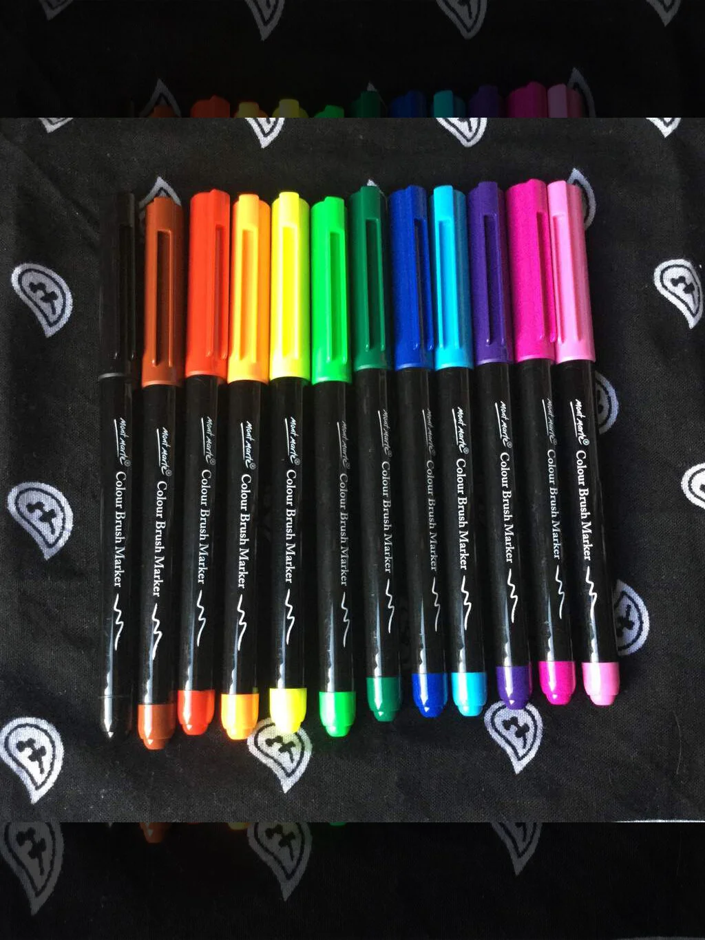 Monte Marte Brush Markers