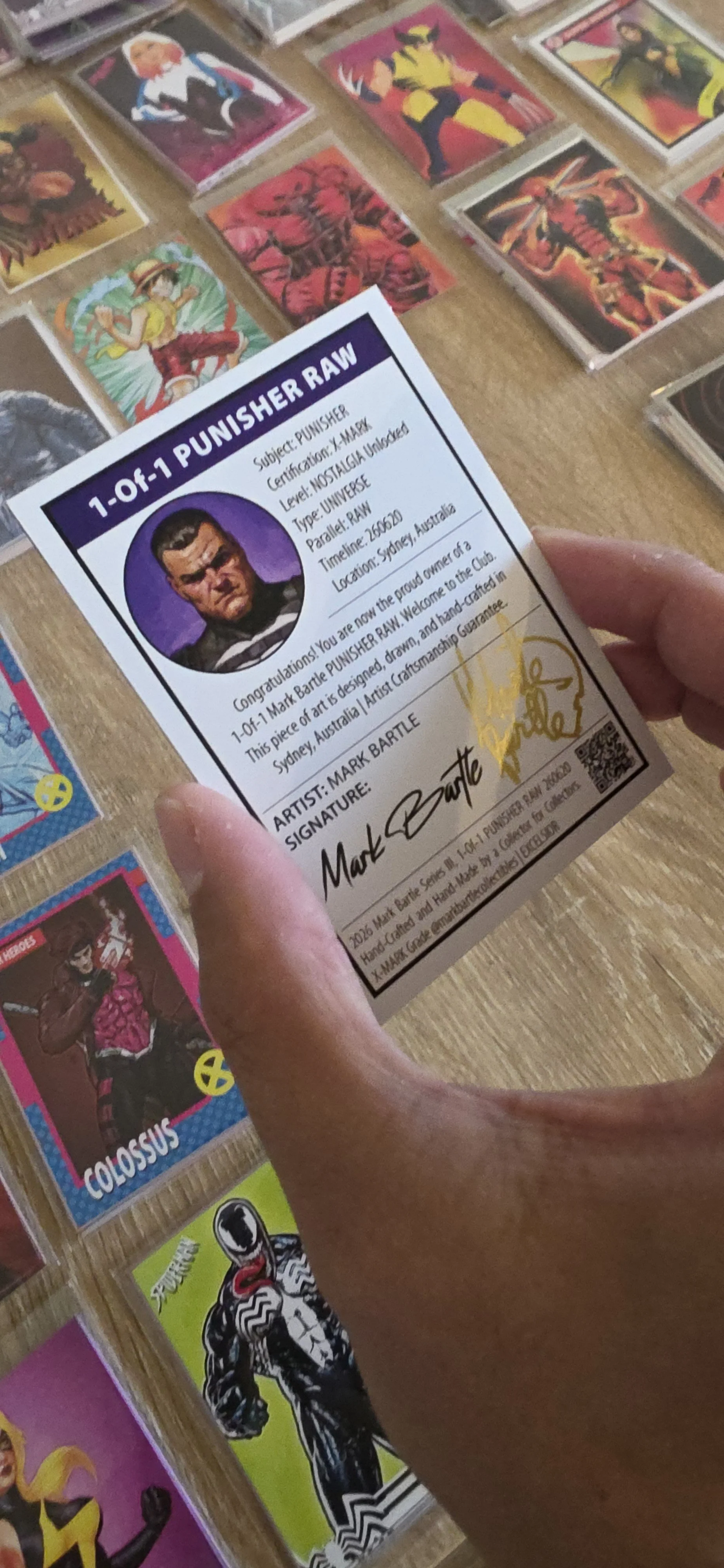 Punisher RAW Trading Card Back Story 260623.jpg