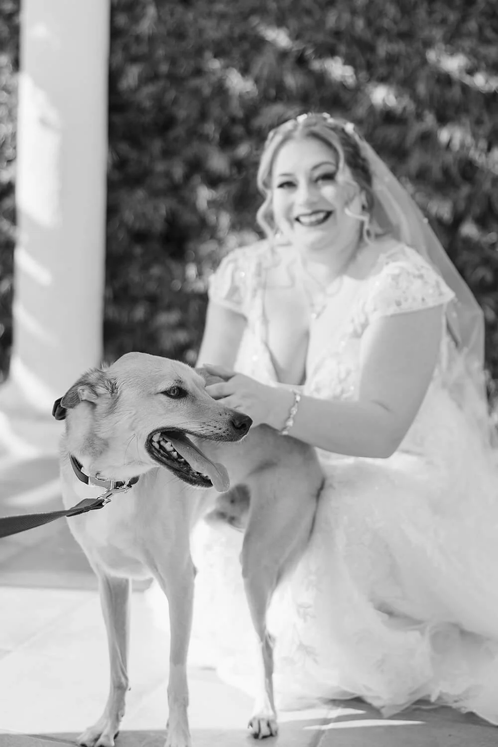 Happy family dog at furmom's wedding in Delaware County, PA