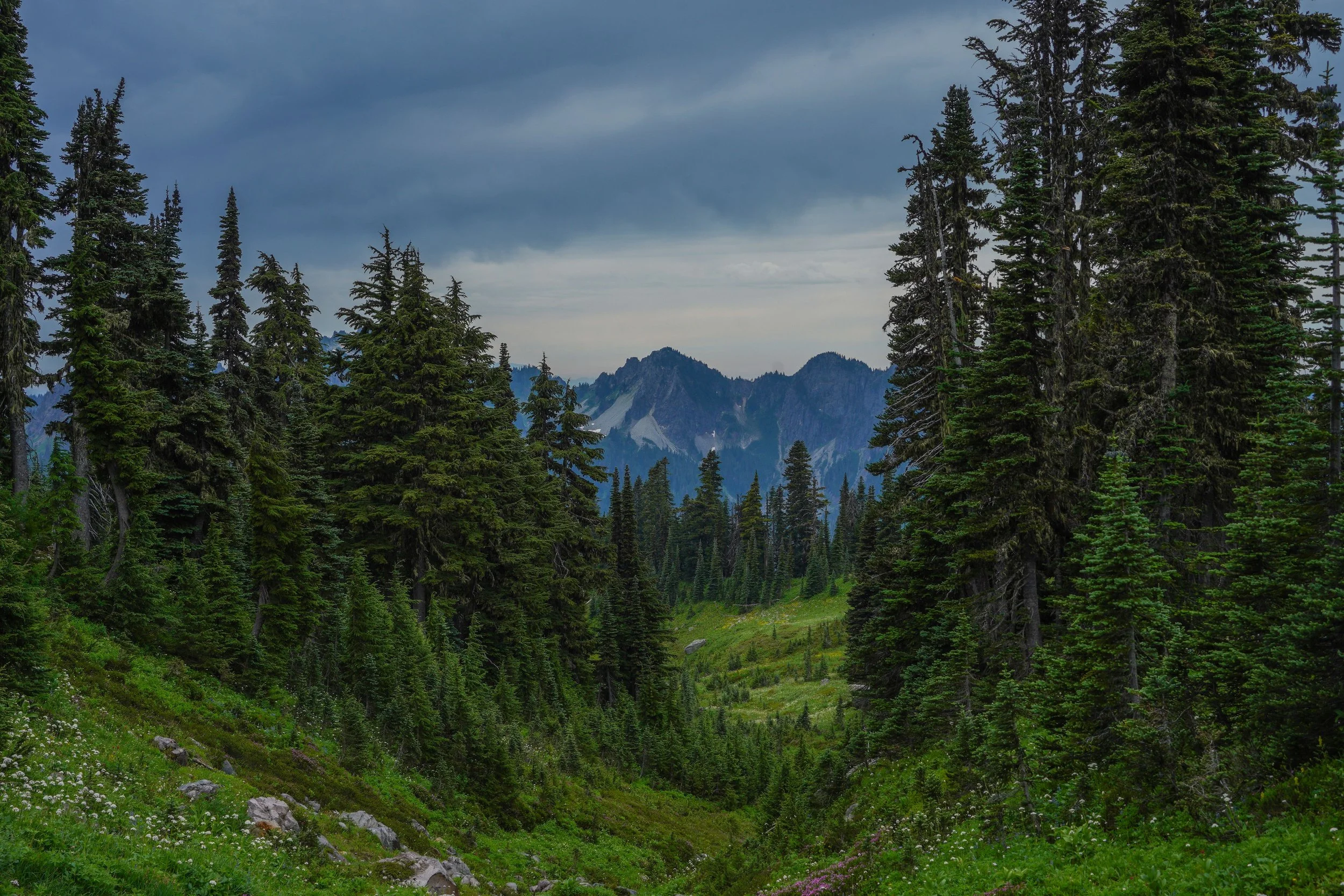 Mt. Rainer National Park, Seattle