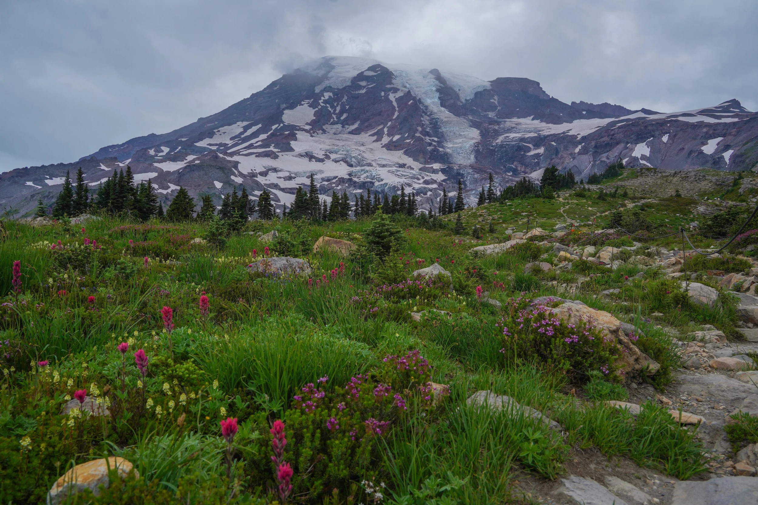 Mt. Rainer National Park, Seattle