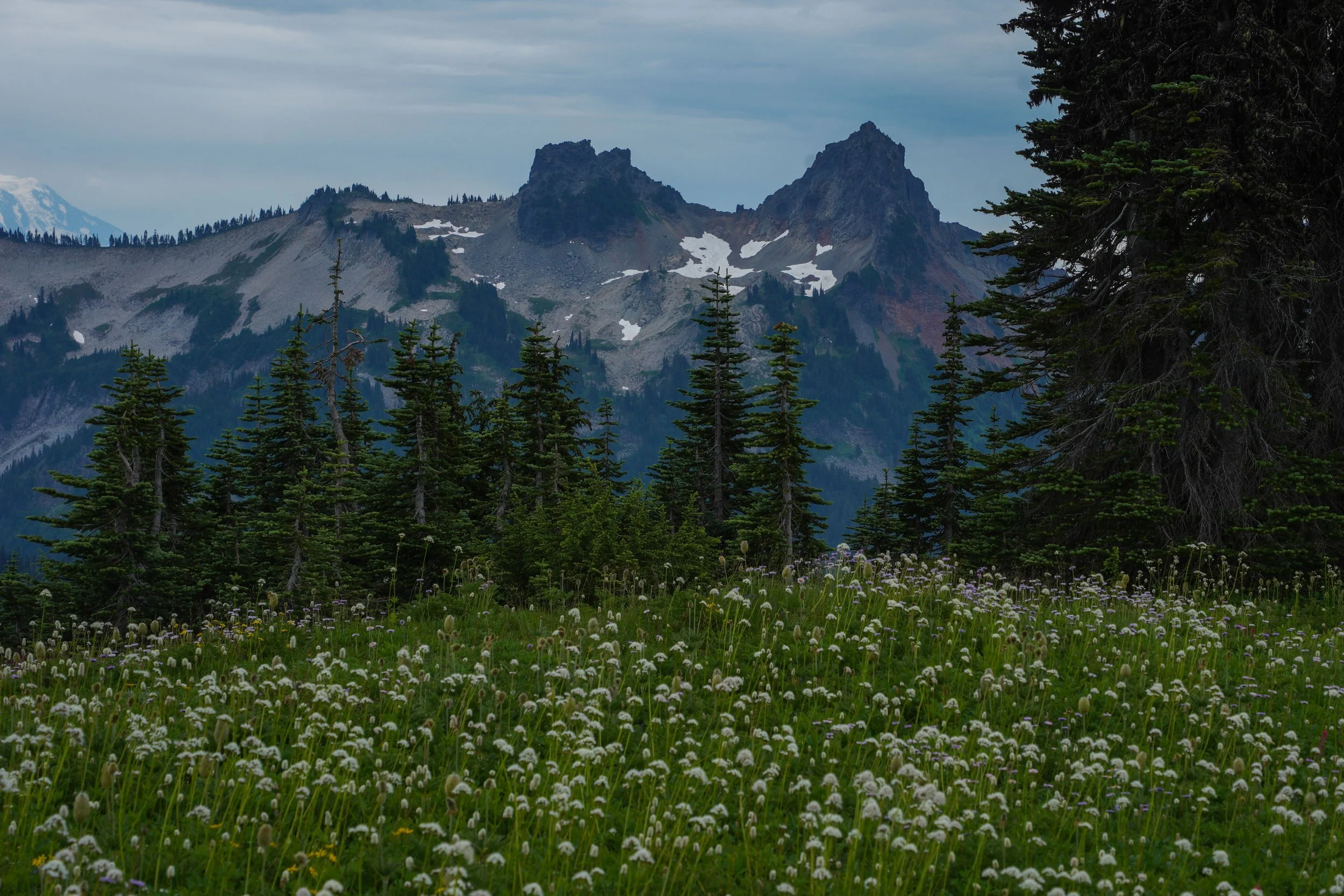 Mt. Rainer National Park, Seattle