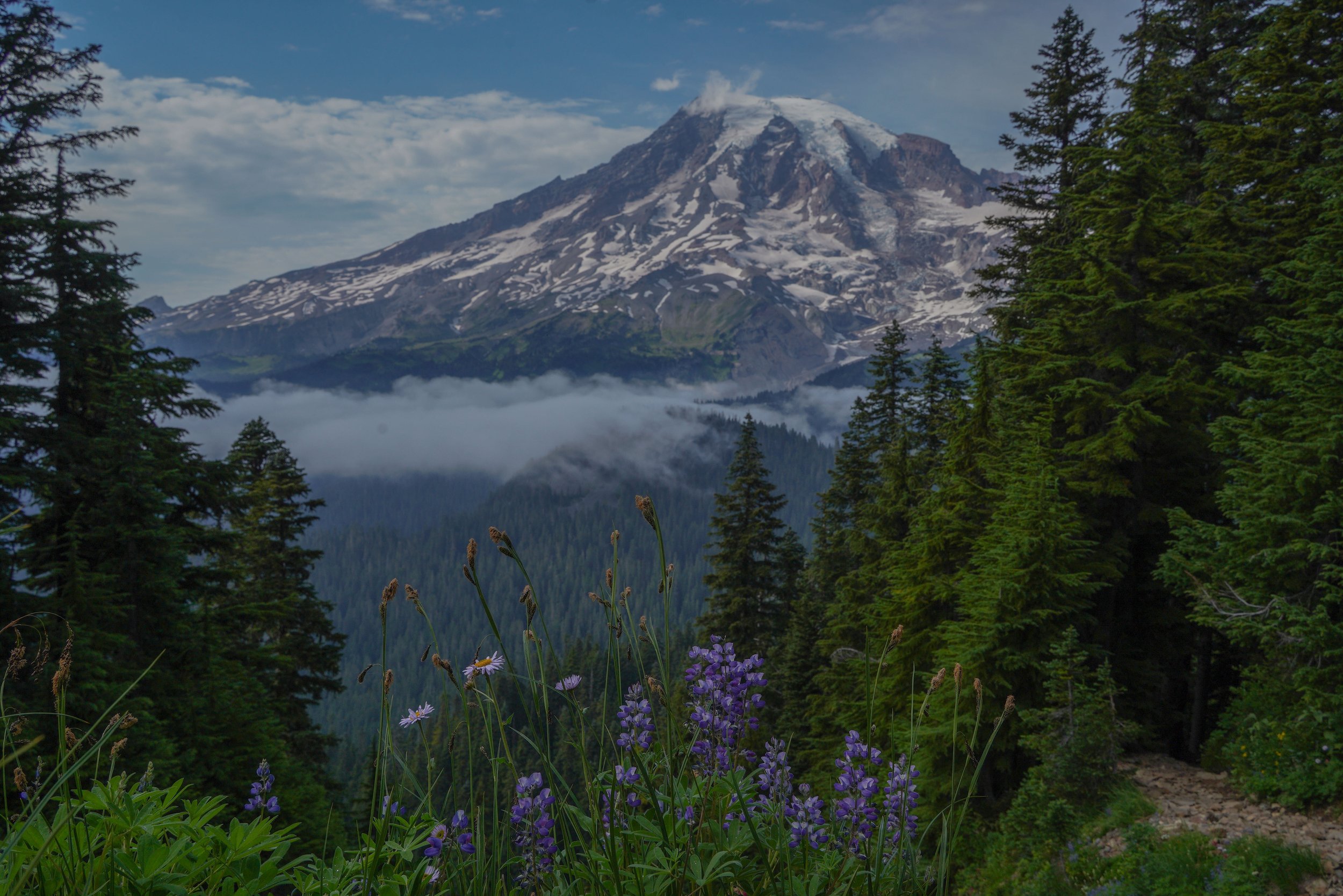 Mt. Rainer National Park, Seattle