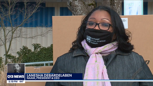 A woman wearing glasses, a mask, and a scarf standing outdoors in front of a cardboard box with trees and a building in the background. The image is from a news broadcast with a lower third showing her name as Lanesha DeBardelaben and her title as NAAM President & CEO.