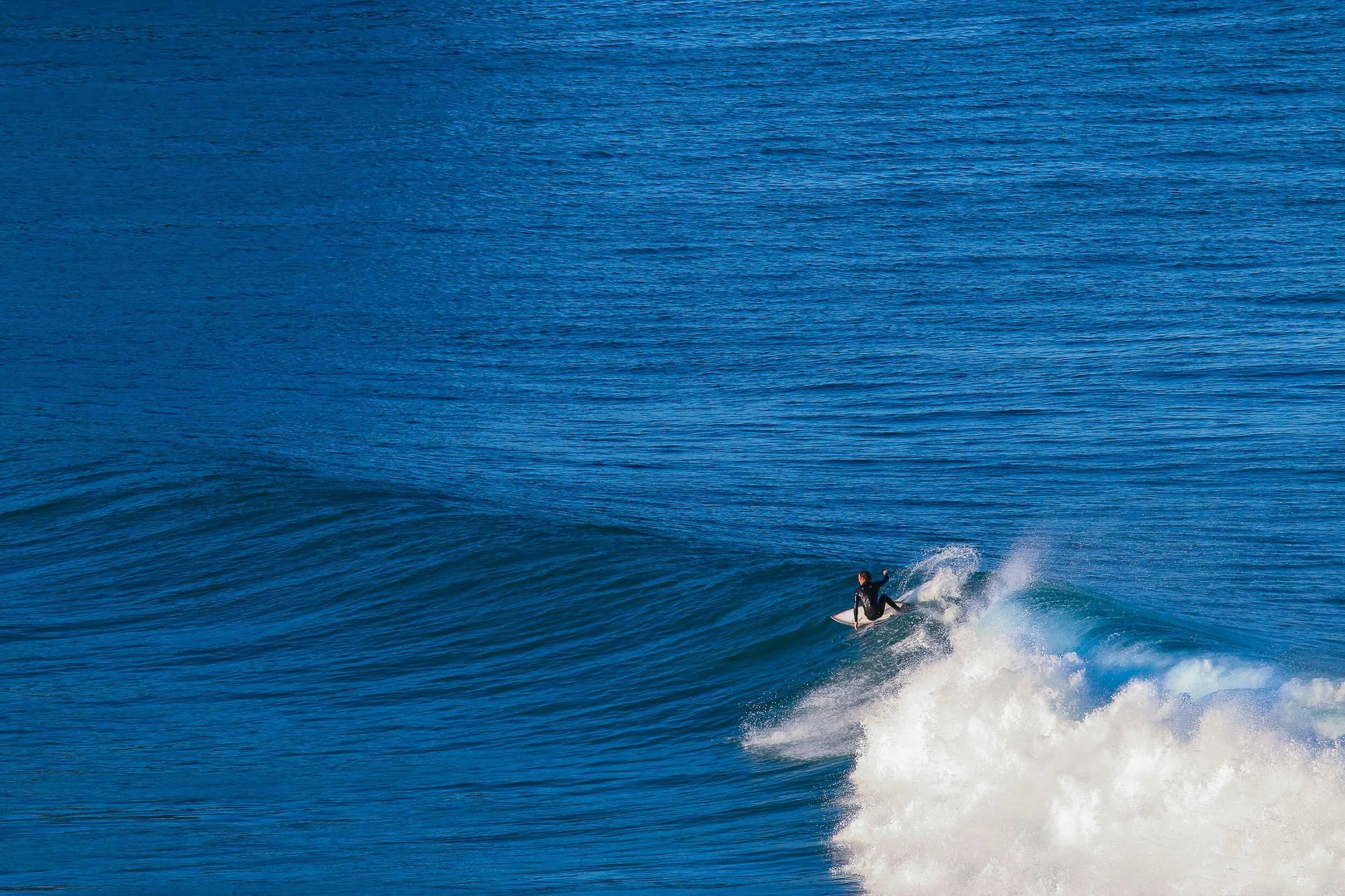 MattWisemanMedia-Web- copy.jpg