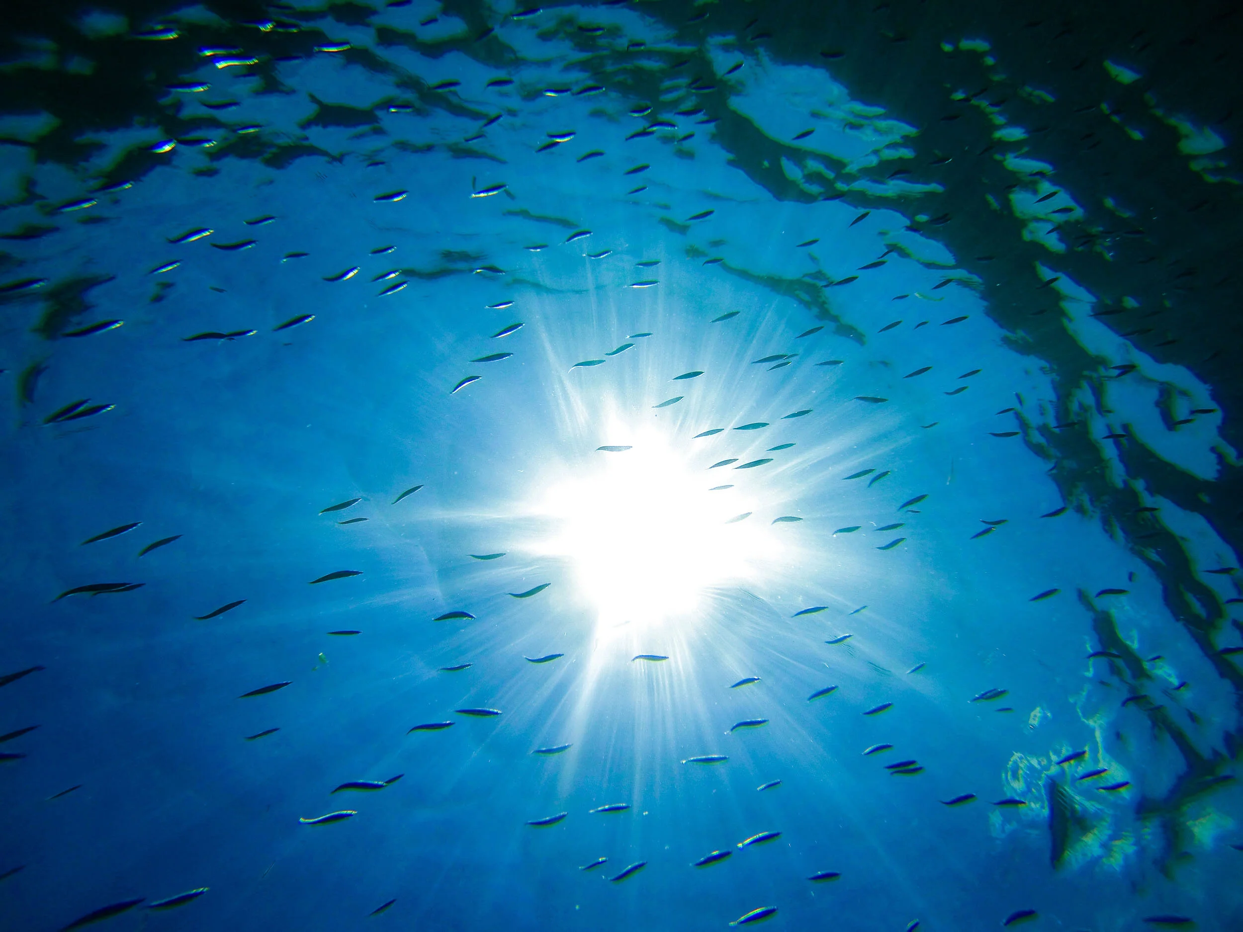 MattWisemanMedia-Web--2 2.jpg