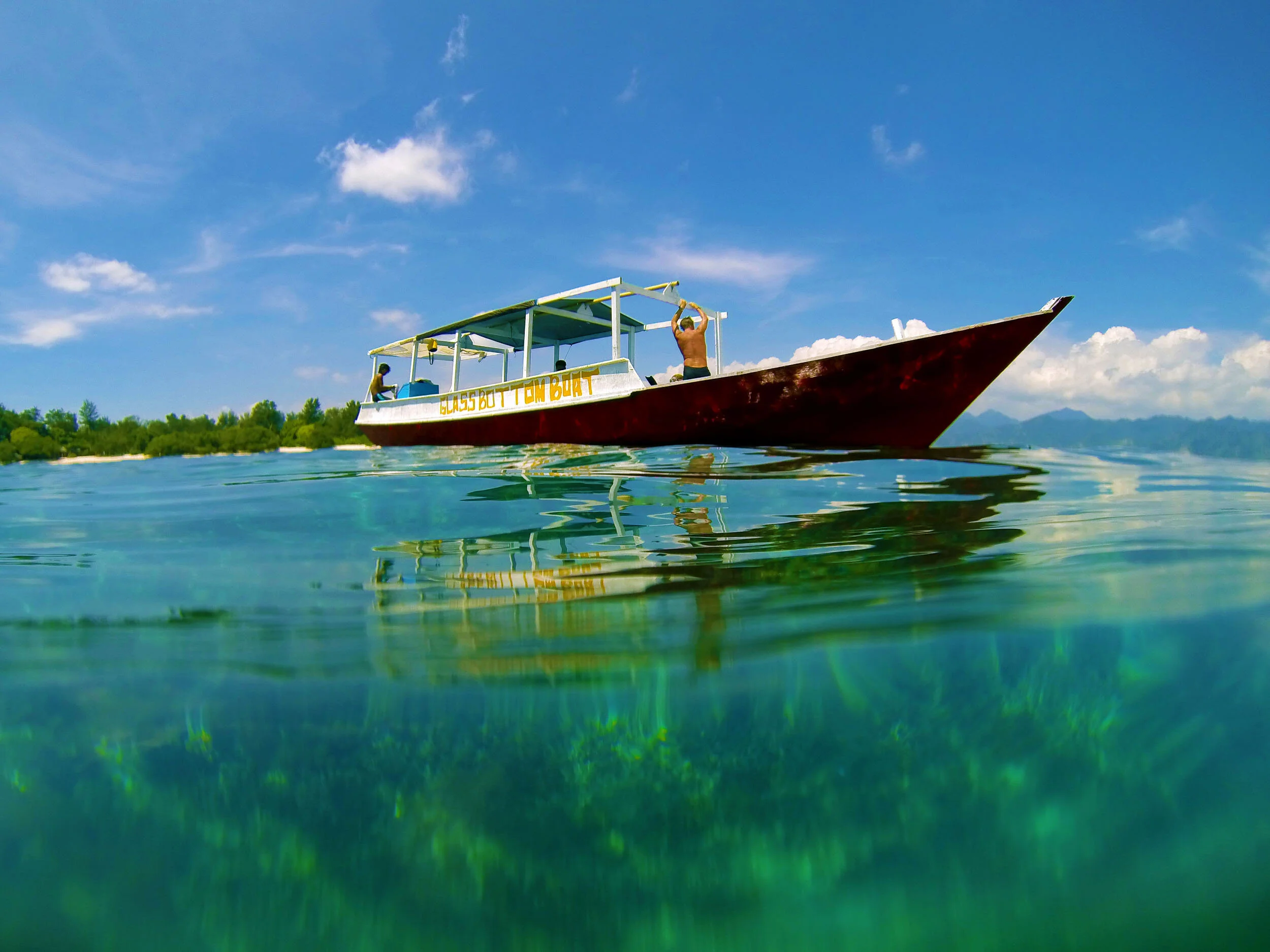 MattWisemanMedia-Web- 2.jpg