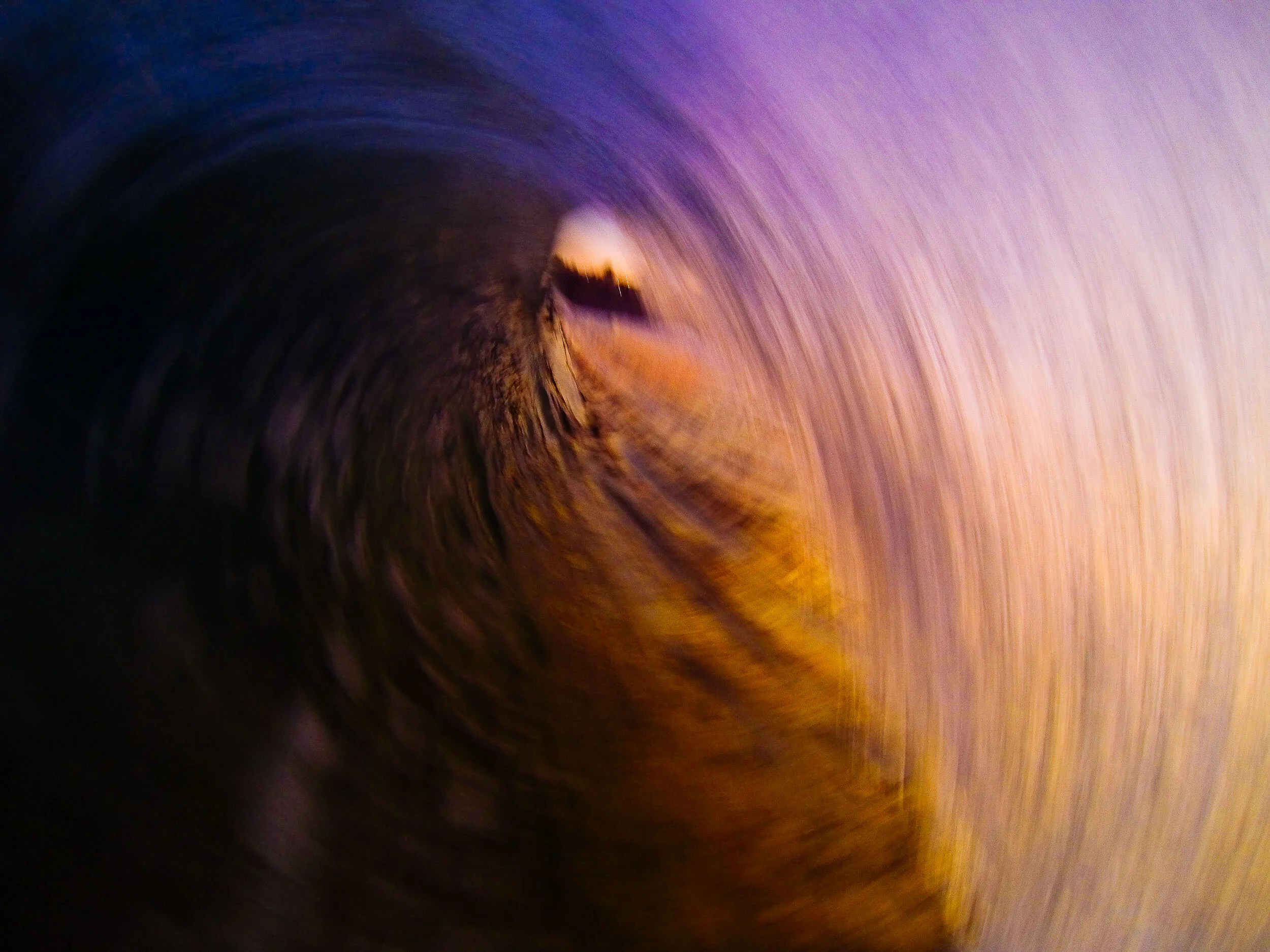 MattWisemanMedia-Web- 3.jpg