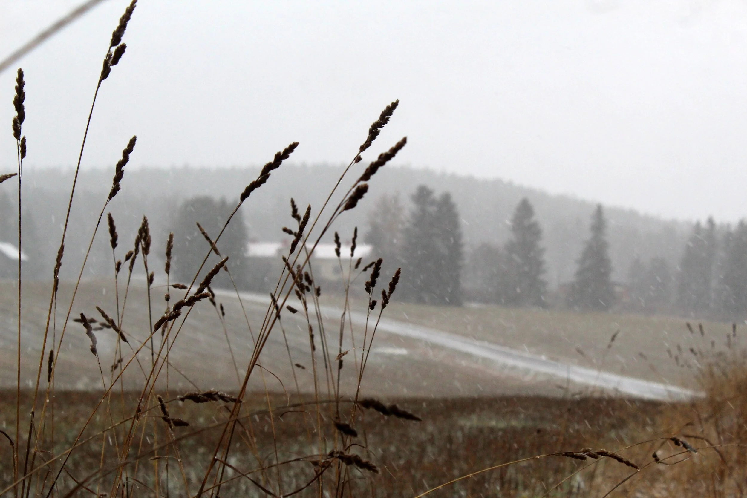 20 creative writing prompts for the days between fall and winter