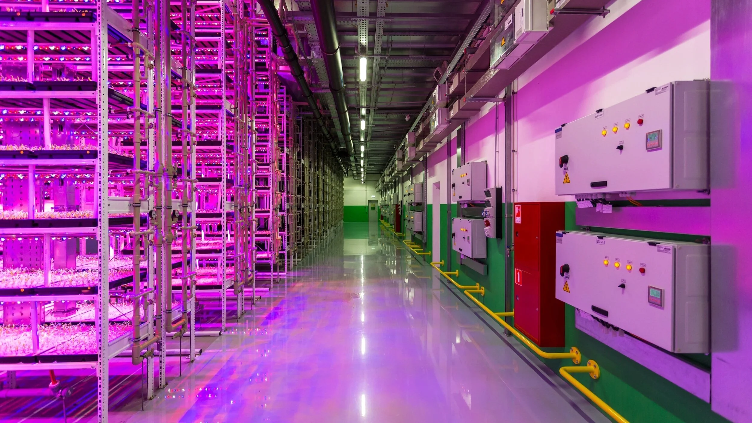 Unlocking human potential in the age of automation