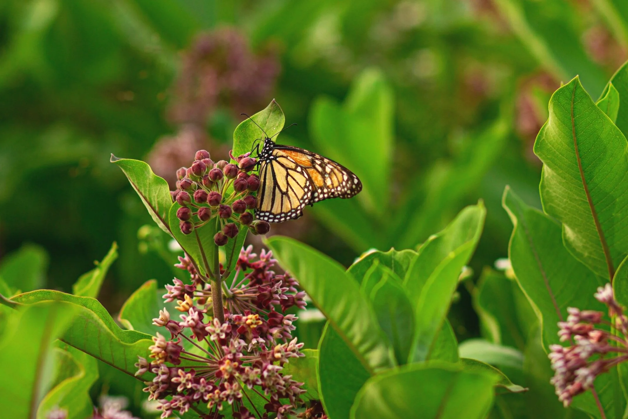 Small changes can reverberate through an entire system