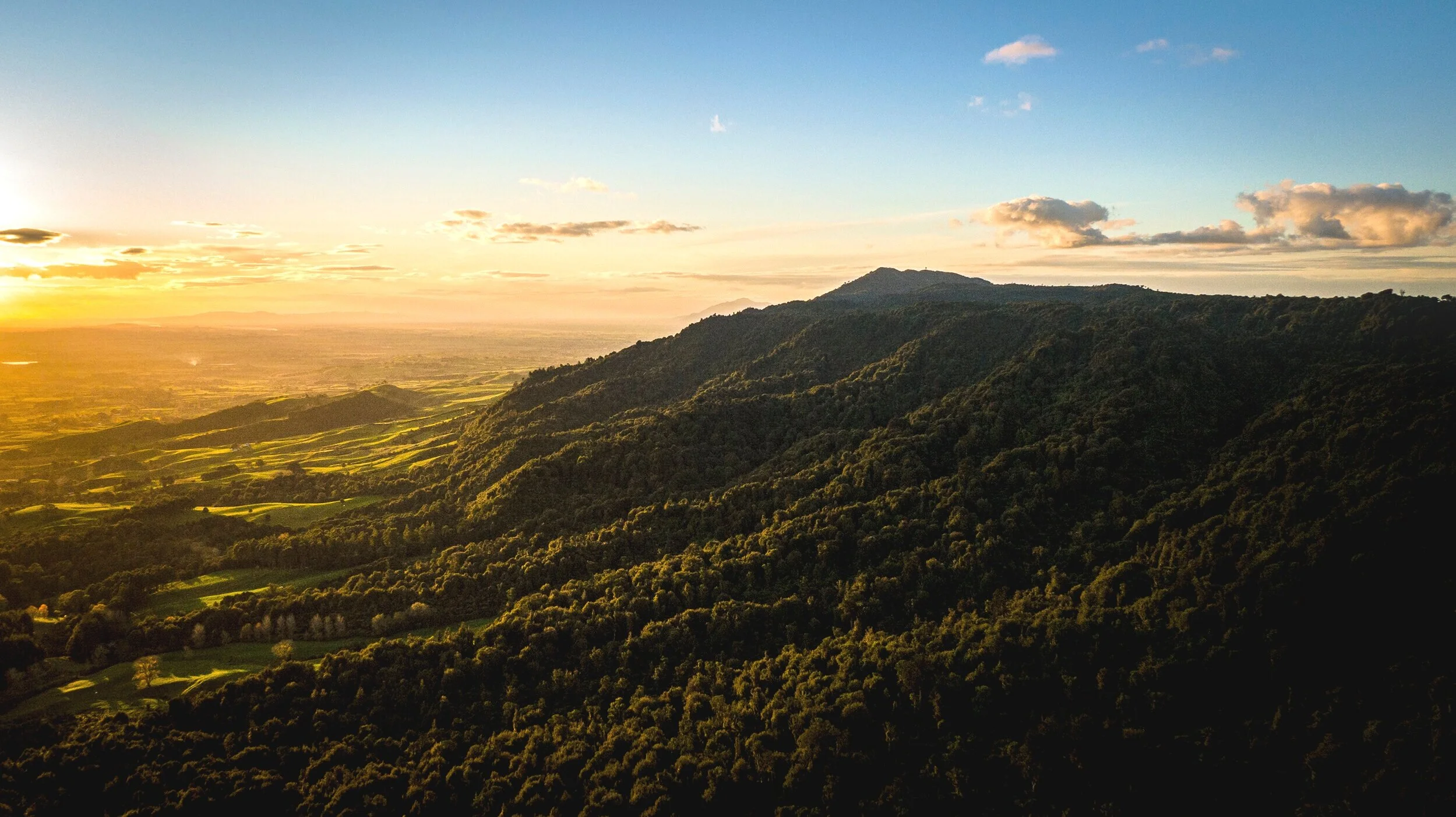 Our Story — Kaimai Gold