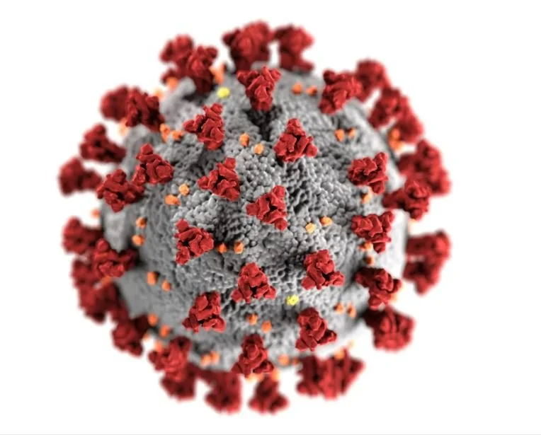 COVID-19 Vaccines: Where Are We Now?