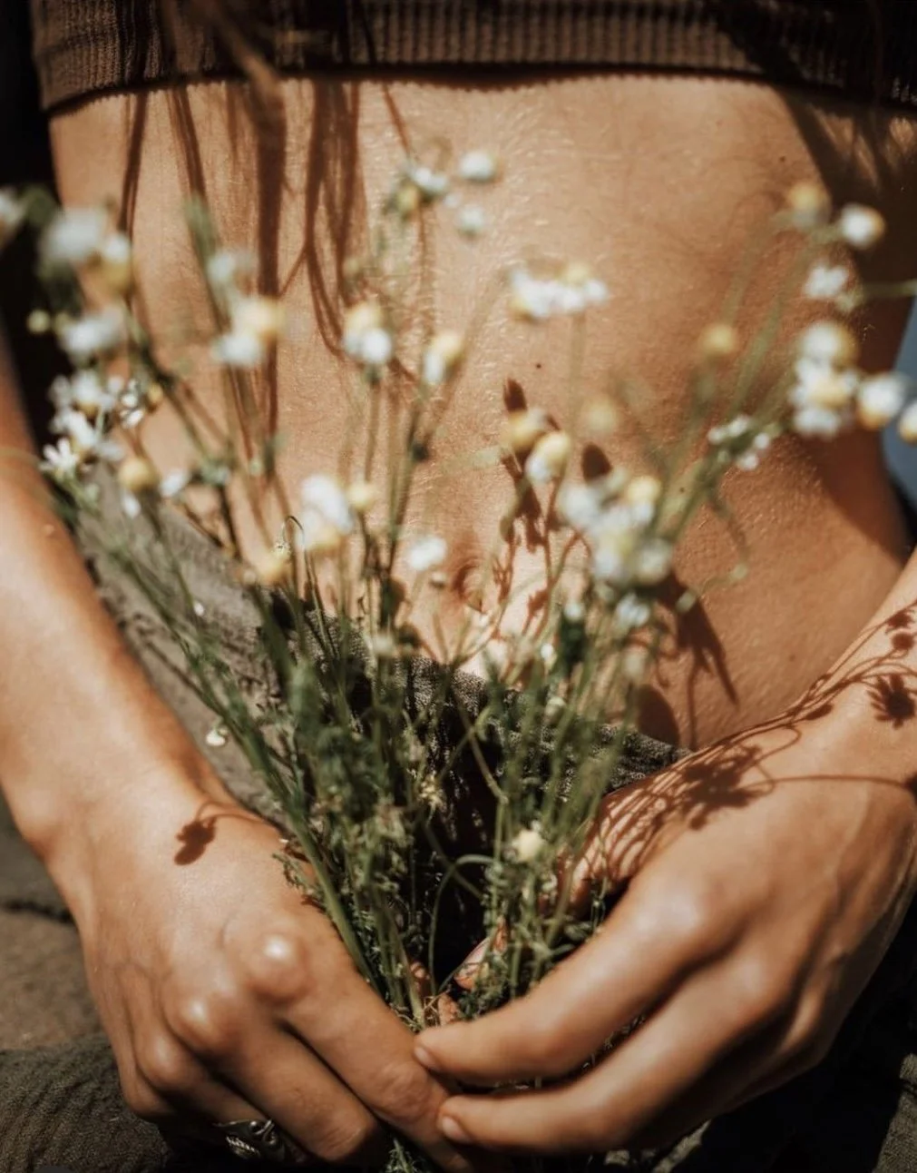 Female Hormones 101: A Beginner's Guide to Understanding Your Hormones