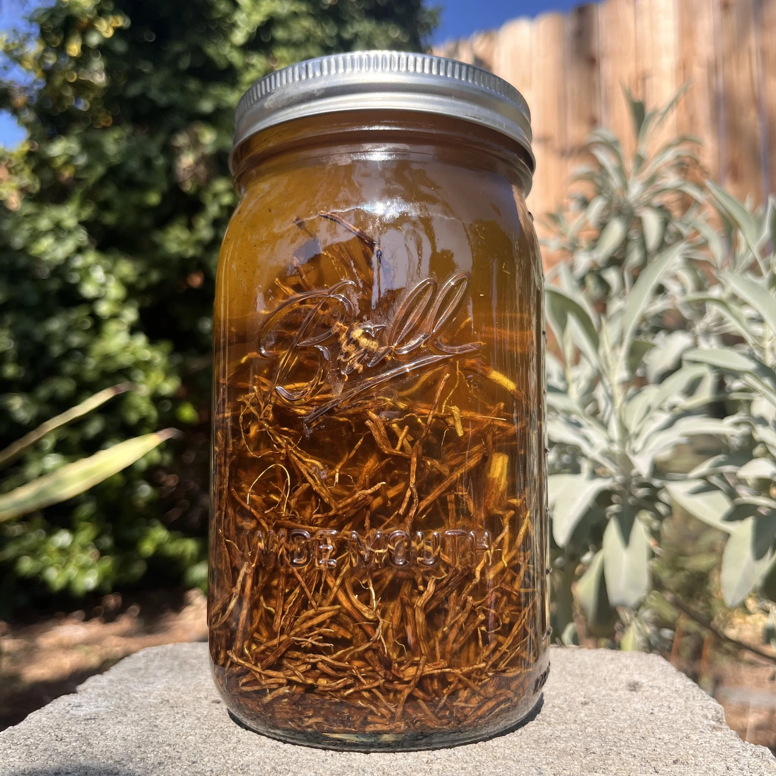 Chilcuague Oil_Mason Jar.jpg
