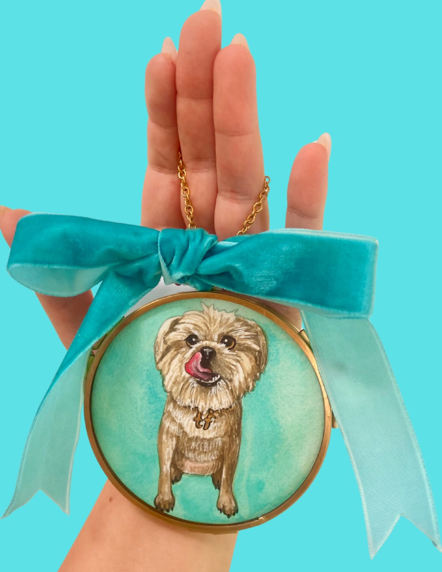 Pet Portraits