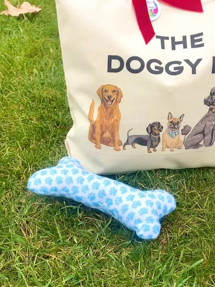 The Paw-fect Gift 🐾 The perfect bag for dog moms and dads this Valentine&rsquo;s Day! You can take all your dogs fav treats and toys with room for more. Available on my Etsy Shop today!