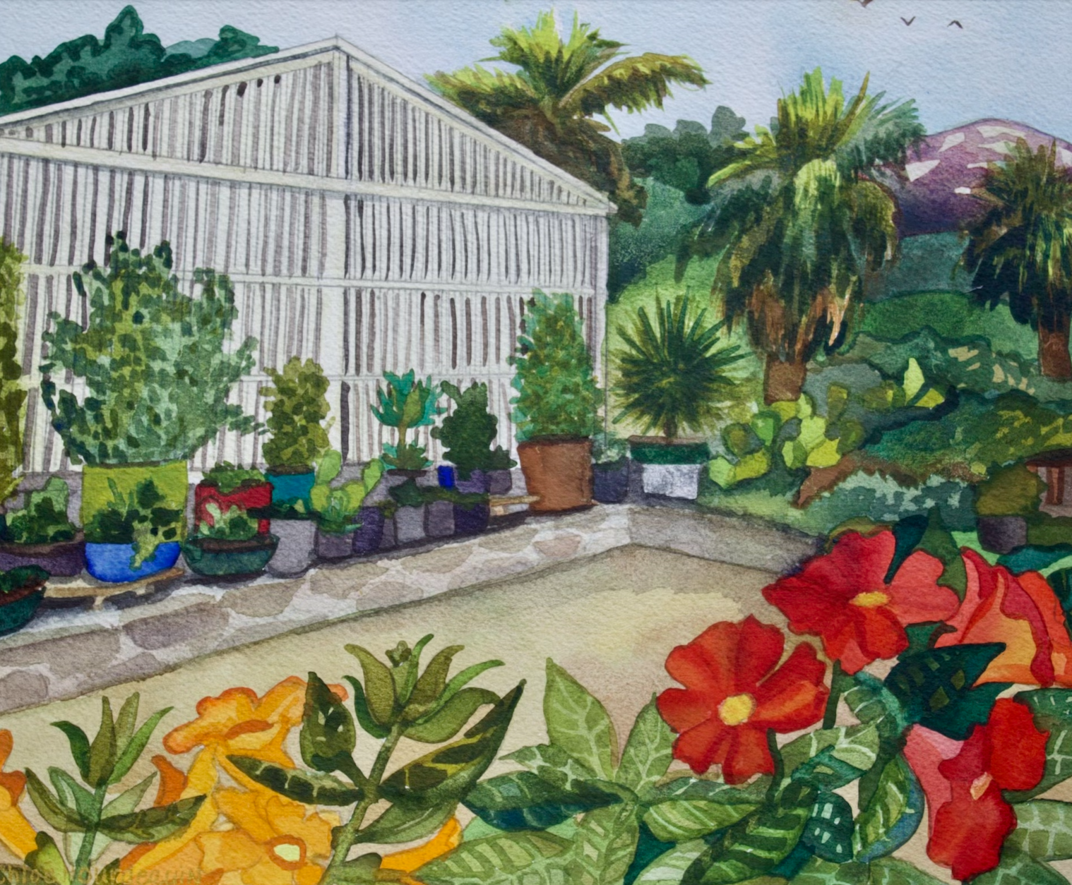Santa Barbara Botanic Garden Nursery 9"x12" Original Available