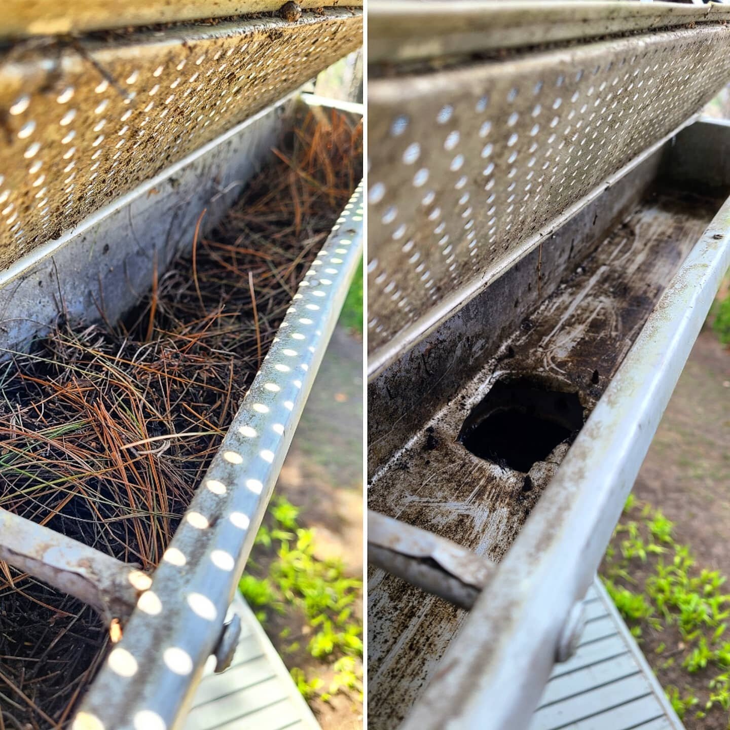 Get gutter guards they said. They're maintenance-free they said.

You may have considered installing gutter guards as a way to avoid the always dirty and sometimes dangerous task of cleaning your eavestroughs. We rarely recommend gutter guards as, in