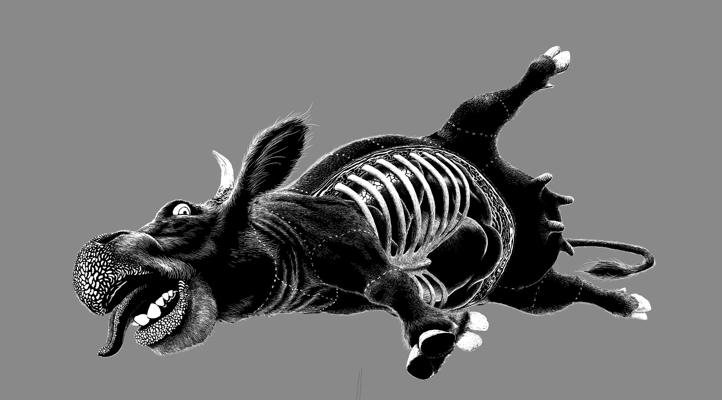Black and white illustration of a cow with the skeleton half cut.