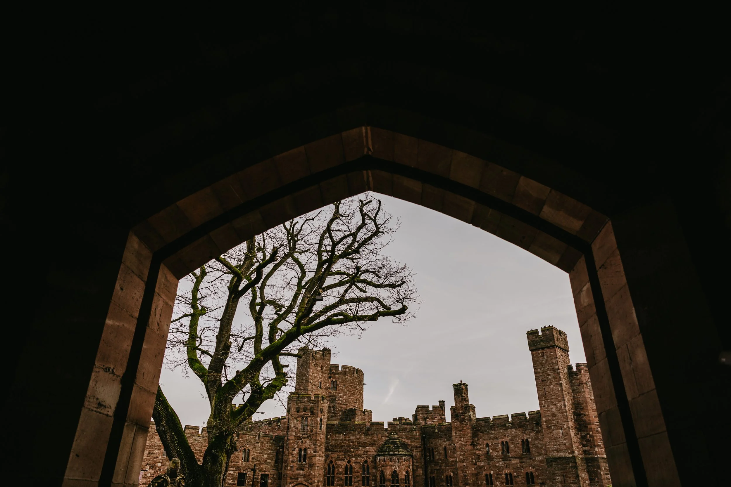 Looking up through a stone archway at a leafless tree and a castle wall with towers in the background during overcast weather.