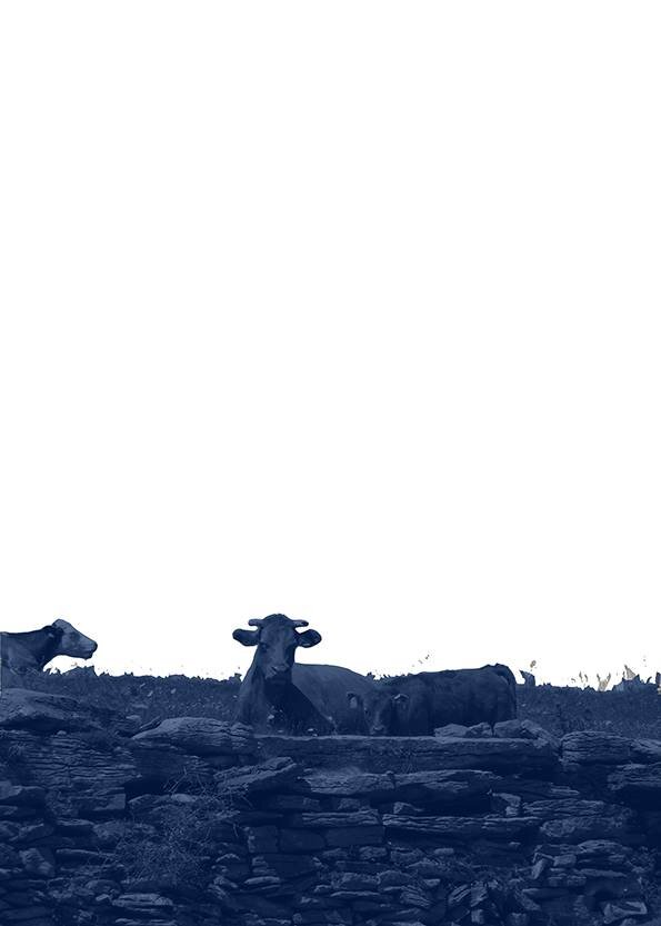 104029921_1648954115270744_2984298112418108428_n.jpg