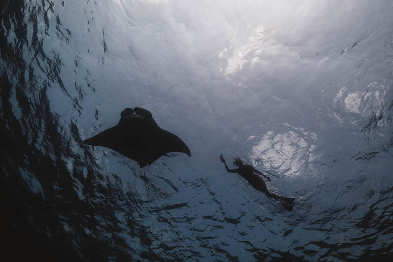 13906_Snorkelling with Mantas in Baa Atoll.jpg