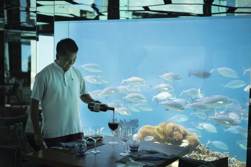 Pour yourself a view at SEA Underwater Restaurant.jpg