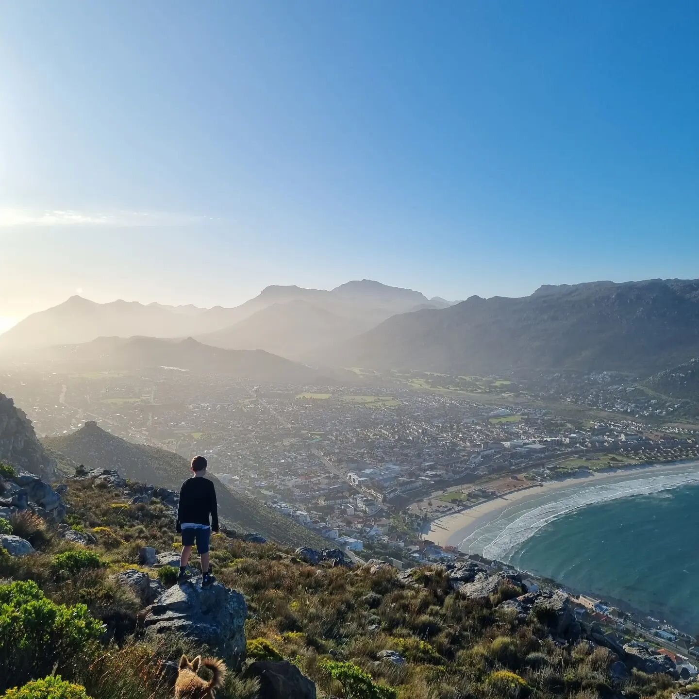 Cold, windy, wintry afternoons... but oh, that light!

#elsiespeak
#tablemountainnationalpark 
#Capetown
#hike