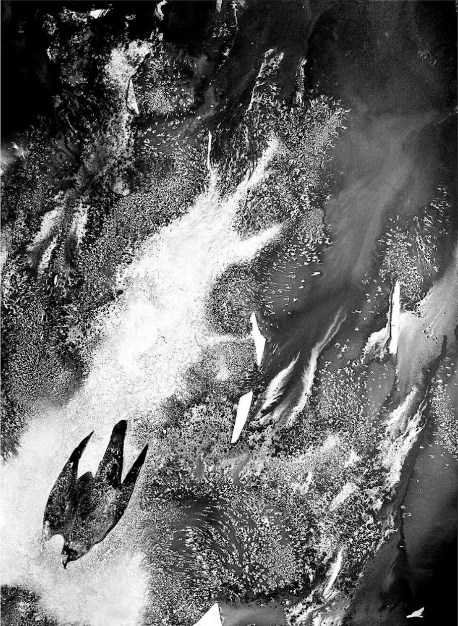 James Roberts - Stooping Falcon