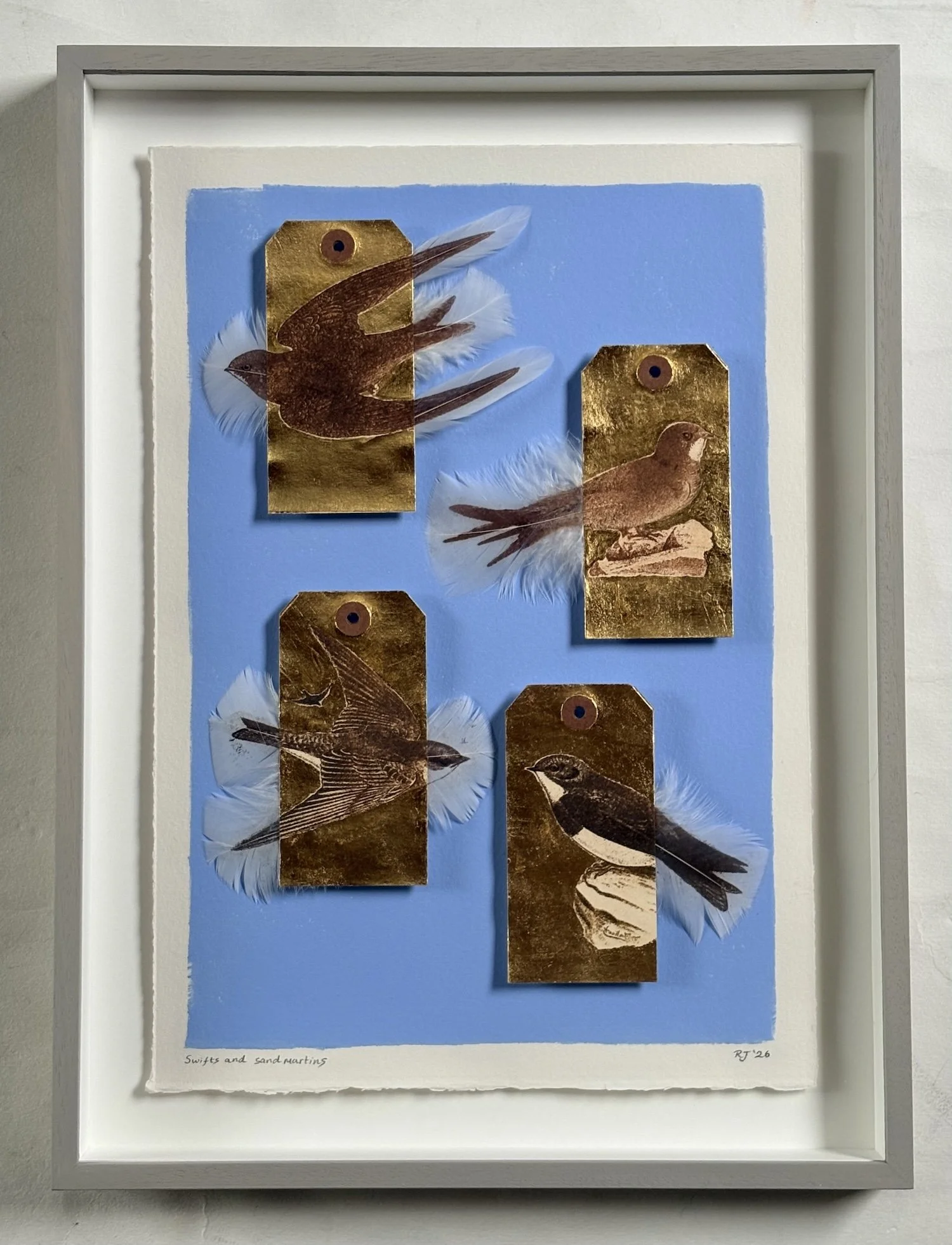 Jewell.Swifts and Sand Martins FRAMED.Kevis.jpeg