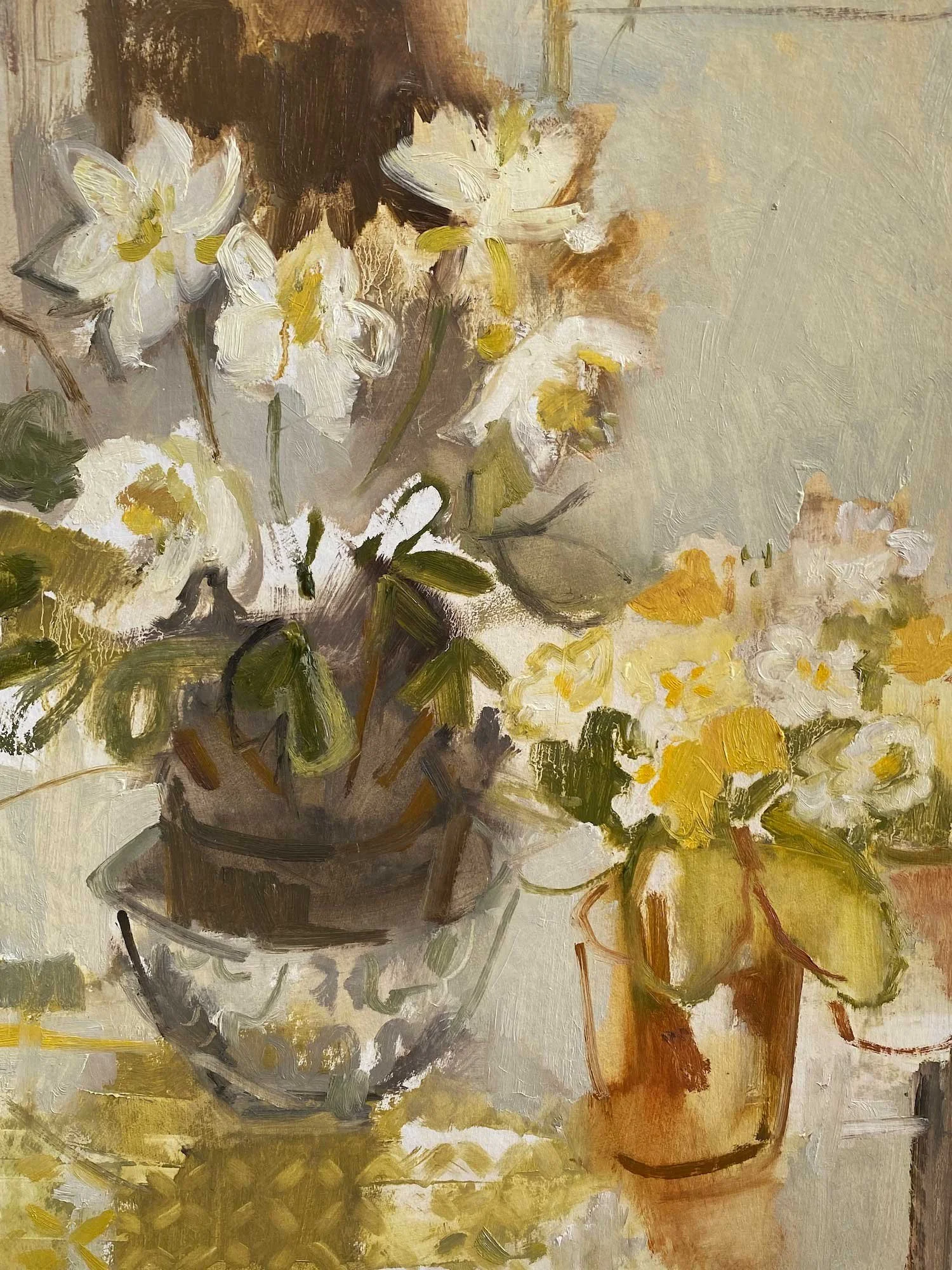 Rhodes.hellebores-and-primrose.Kevis.jpg