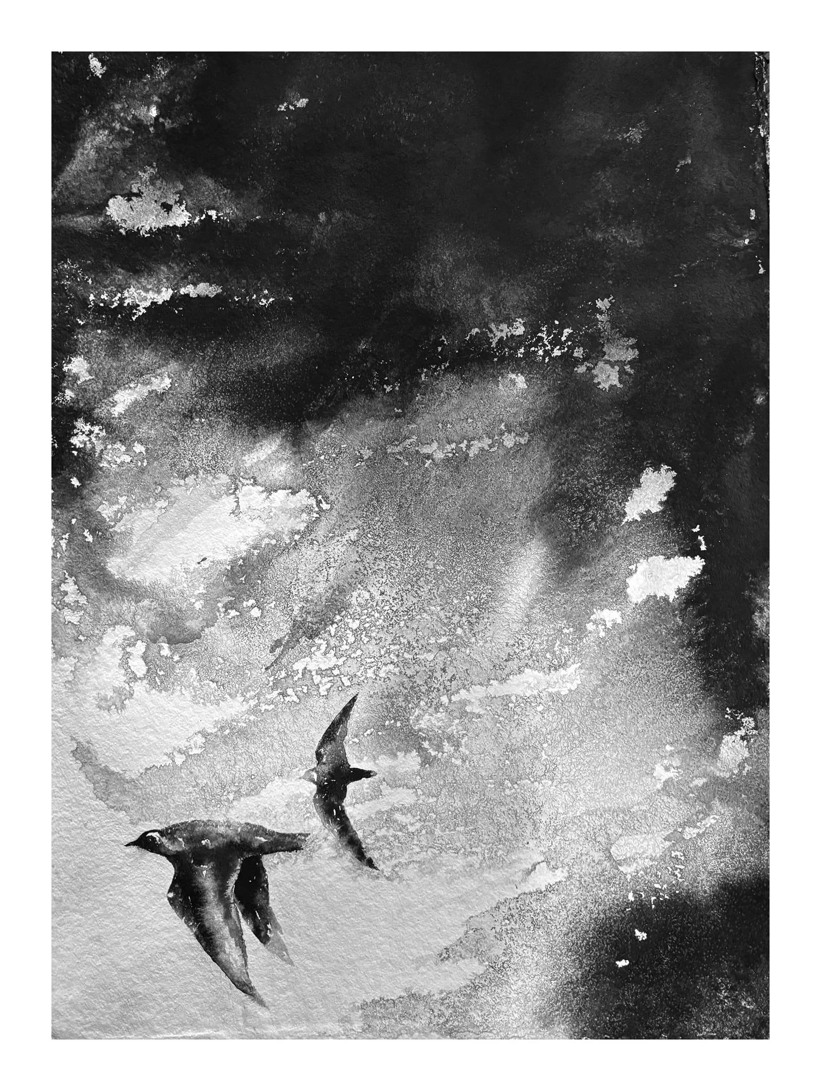 Roberts.SkyPlovers copy.Kevis.jpg