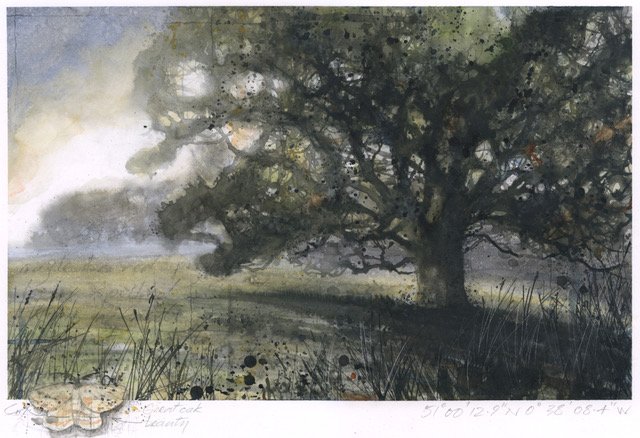 Cook_Gary_Upperton_Oak.jpeg